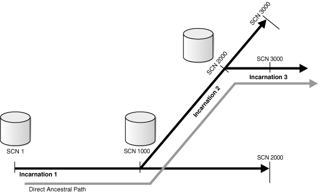 Description of Figure 14-1 follows