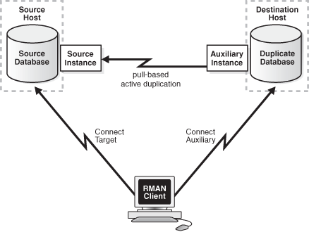 Description of Figure 25-5 follows