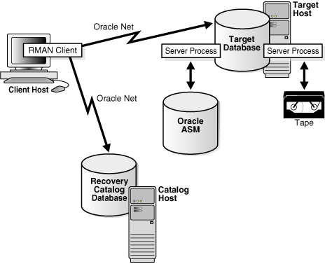 Description of Figure 18-3 follows