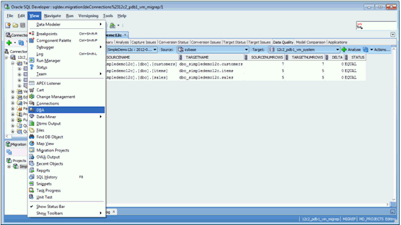 Description of sql_dev_04.gif follows