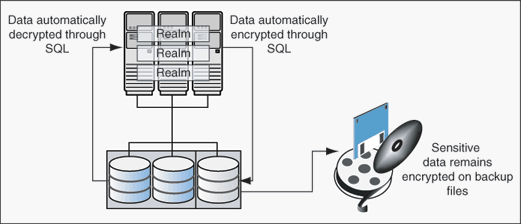 Description of Figure 11-1 follows