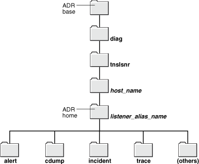 Description of Figure 16-1 follows