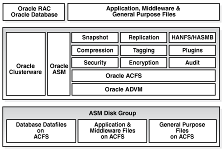 Description of Figure 11-1 follows