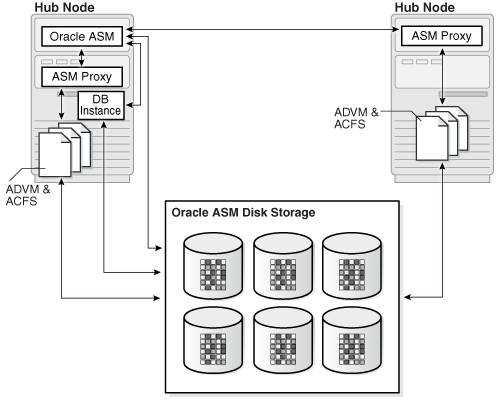 Description of Figure 20-2 follows