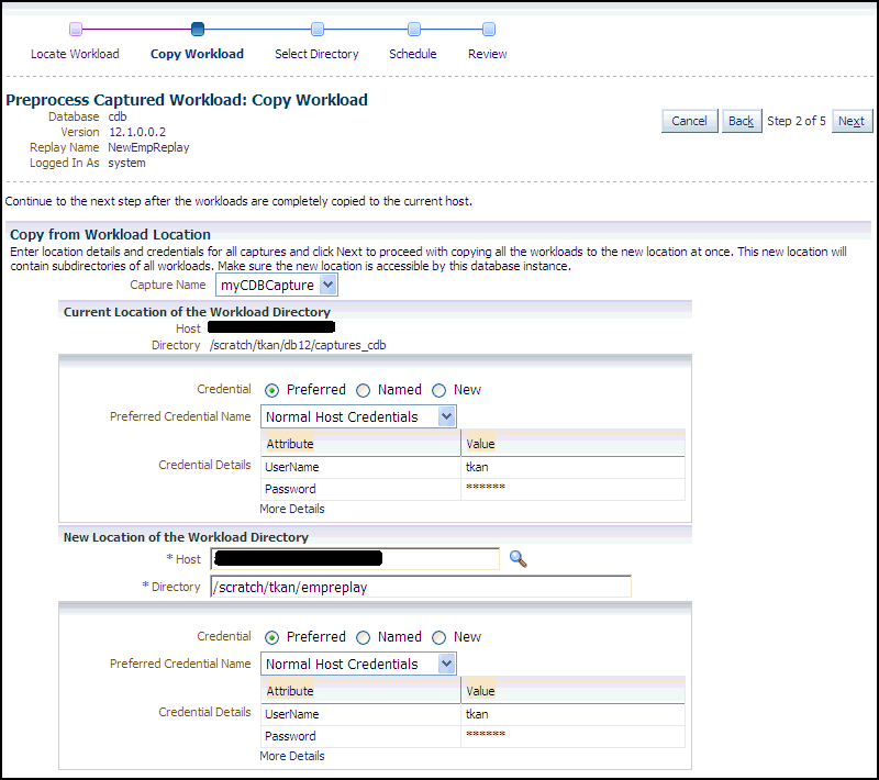 Description of dbr_process_copy_wkld.gif follows