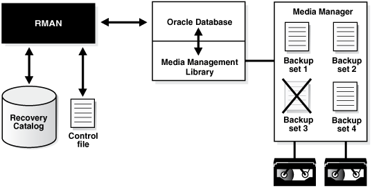 Description of Figure 12-1 follows