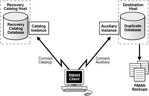 Description of Figure 25-2 follows