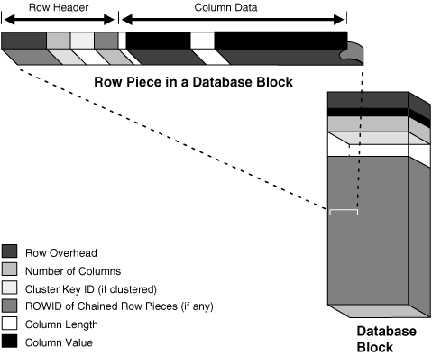 Description of Figure 14-8 follows