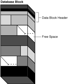 Description of Figure 14-11 follows