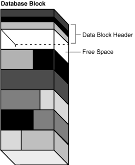 Description of Figure 14-12 follows