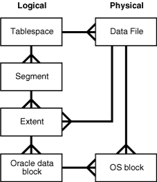 Description of Figure 14-1 follows