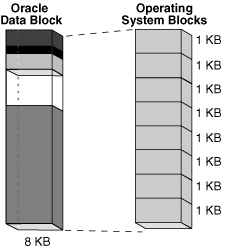 Description of Figure 14-6 follows