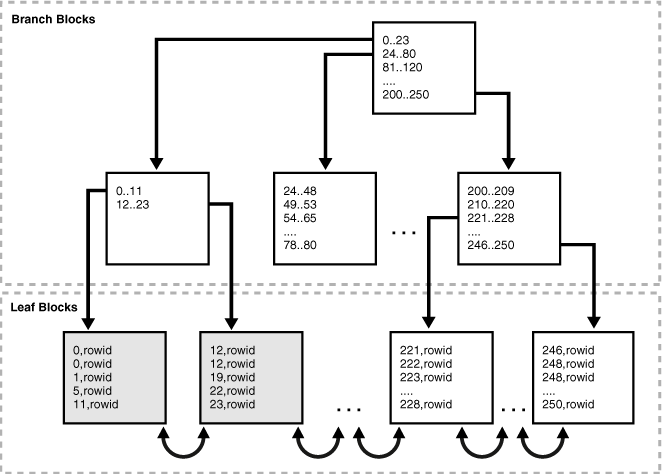 Description of Figure 14-16 follows