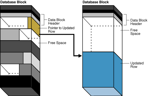 Description of Figure 14-14 follows