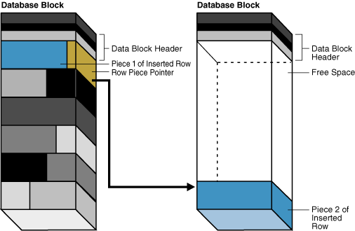 Description of Figure 14-13 follows