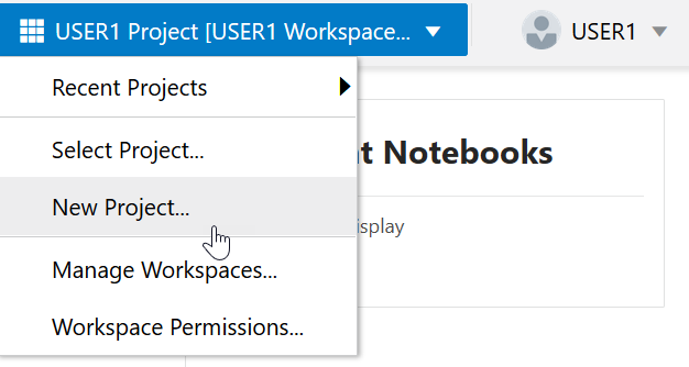 Project Workspace Drop-down